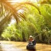 Arbol ben en vietnam