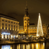 Vistes del mercat de nadal