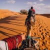 Dromedari al desert de Sahara