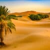 Dunes al desert del Sahara
