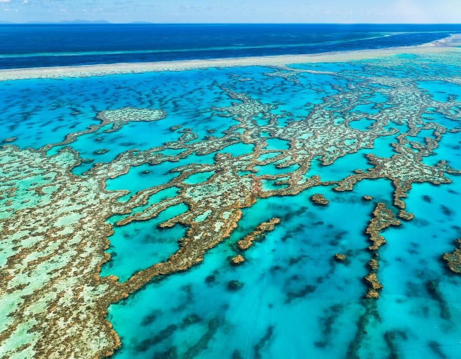 Gran Barrera de Coral, Asutràlia