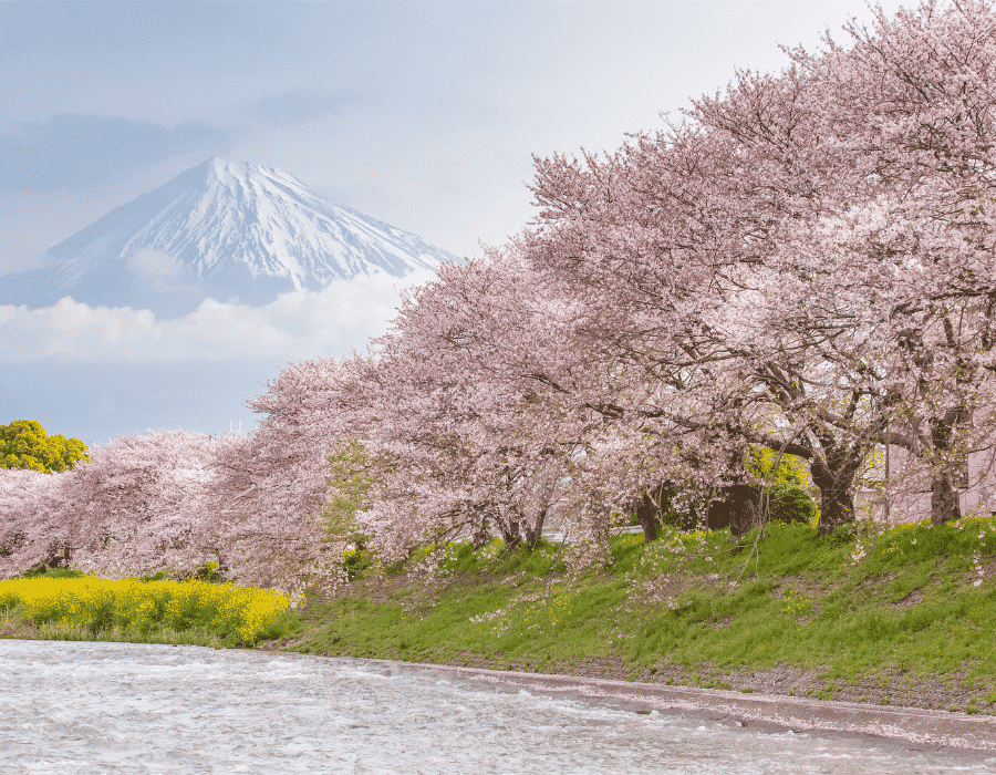 Montaña Fuji, Japón