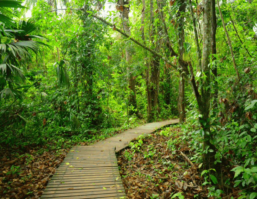 Tayron Parc, Colombia