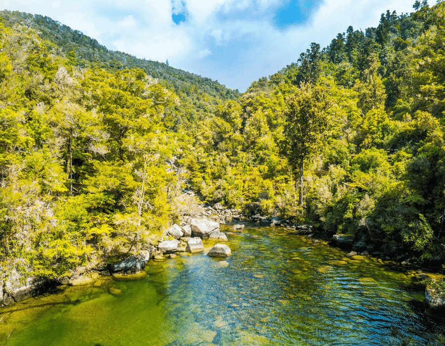 Parc Nacional Abel Tasman