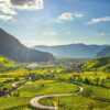 Vistes panoràmiques de les precioses vinyes del Südtirol