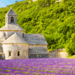 la florida de la lavanda a la provença