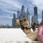Dubai i Abu Dhabi