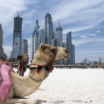 Dubai i Abu Dhabi