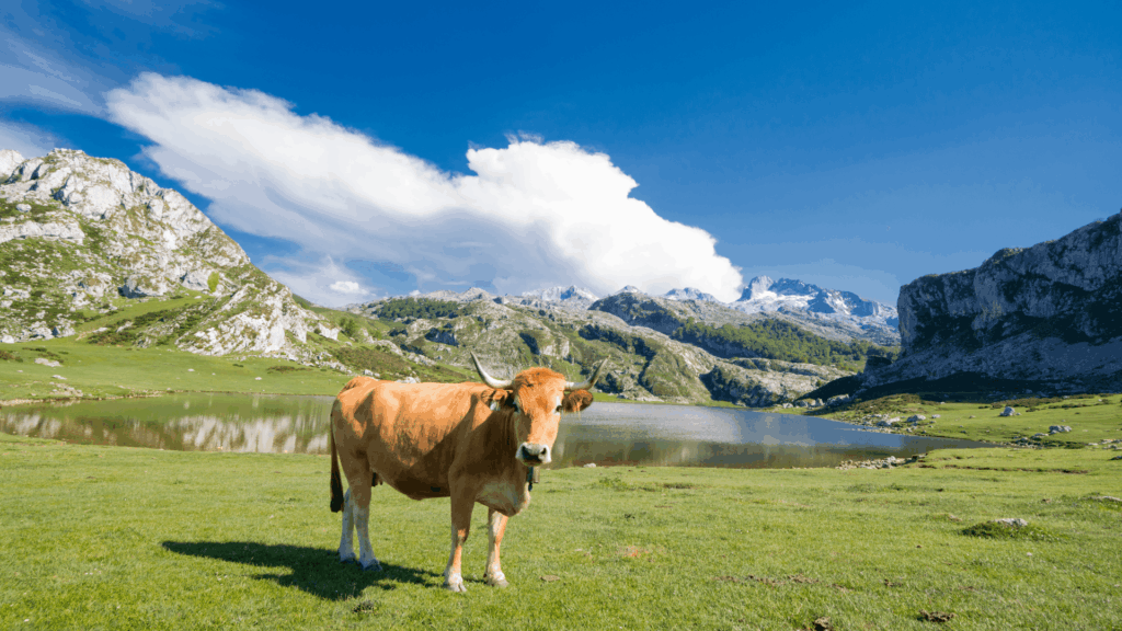 pobles i paisatges d'Astúries