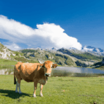 pobles i paisatges d'Astúries