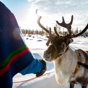 lola_akinmade_åkerström-sami_with_reindeer-2607 TURISME SUECIA
