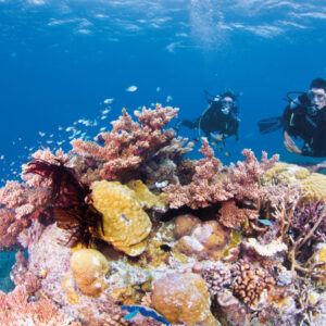 Great Barrier Reef 1