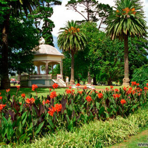 Jardines en Auckland