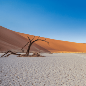 Paisaje de Deadvlei, en Namibia